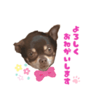 チップチップ♫（個別スタンプ：3）