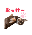 チップチップ♫（個別スタンプ：4）