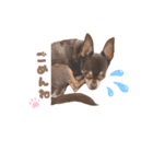 チップチップ♫（個別スタンプ：8）