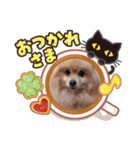 Family1215（個別スタンプ：8）