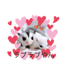 Family1215（個別スタンプ：15）