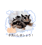 Family1215（個別スタンプ：20）