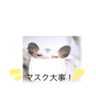 Family1215（個別スタンプ：24）