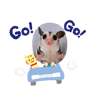 Family1215（個別スタンプ：27）