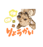ルイとティノのまいにち②❤️（個別スタンプ：2）
