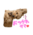 ルイとティノのまいにち②❤️（個別スタンプ：11）