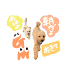 ルイとティノのまいにち②❤️（個別スタンプ：12）