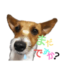 のんちゃんの日々（個別スタンプ：2）