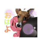 のんちゃんの日々（個別スタンプ：5）