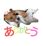 のんちゃんの日々（個別スタンプ：8）