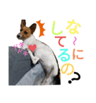 のんちゃんの日々（個別スタンプ：12）