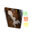 のんちゃんの日々（個別スタンプ：13）