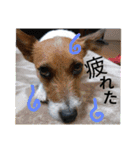 のんちゃんの日々（個別スタンプ：14）