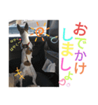 のんちゃんの日々（個別スタンプ：18）