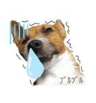 のんちゃんの日々（個別スタンプ：21）