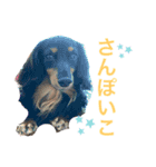 ルイちゃんラプちゃん（個別スタンプ：4）