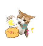 しゃけと愉快なお友達（個別スタンプ：28）