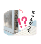 しゃけと愉快なお友達（個別スタンプ：36）