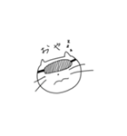 同じ顔のネコ（個別スタンプ：2）