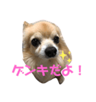 ゲンキの大冒険（個別スタンプ：1）