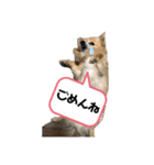 ゲンキの大冒険（個別スタンプ：16）