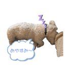 ぽけらくの日常（個別スタンプ：5）