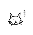 無表情猫ちゃん（個別スタンプ：17）