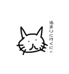 無表情猫ちゃん（個別スタンプ：20）
