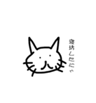 無表情猫ちゃん（個別スタンプ：23）