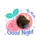 haaana！（個別スタンプ：2）