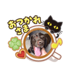 haaana！（個別スタンプ：3）