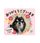 うちのアンナスペシャル❣️（個別スタンプ：13）