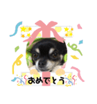 うちのアンナスペシャル❣️（個別スタンプ：18）