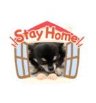 うちのアンナスペシャル❣️（個別スタンプ：33）