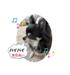 うちのアンナスペシャル❣️（個別スタンプ：35）