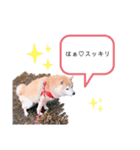こももどすぇ（個別スタンプ：5）