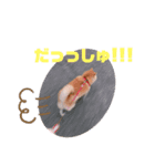 こももどすぇ（個別スタンプ：6）