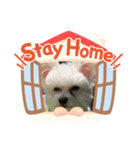 simpleスタンプ1（個別スタンプ：2）