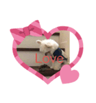 simpleスタンプ1（個別スタンプ：5）