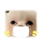 simpleスタンプ1（個別スタンプ：8）