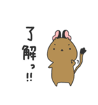 でぐんちゅデグー（個別スタンプ：13）