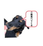 マルオとセブン（個別スタンプ：3）