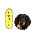 マルオとセブン（個別スタンプ：6）