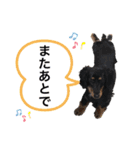 マルオとセブン（個別スタンプ：7）
