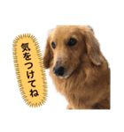 マルオとセブン（個別スタンプ：11）