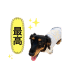 マルオとセブン（個別スタンプ：12）