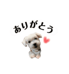 めいたろうスタンプ②（個別スタンプ：1）
