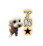めいたろうスタンプ②（個別スタンプ：6）