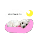 めいたろうスタンプ②（個別スタンプ：8）