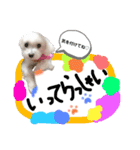 めいたろうスタンプ②（個別スタンプ：10）